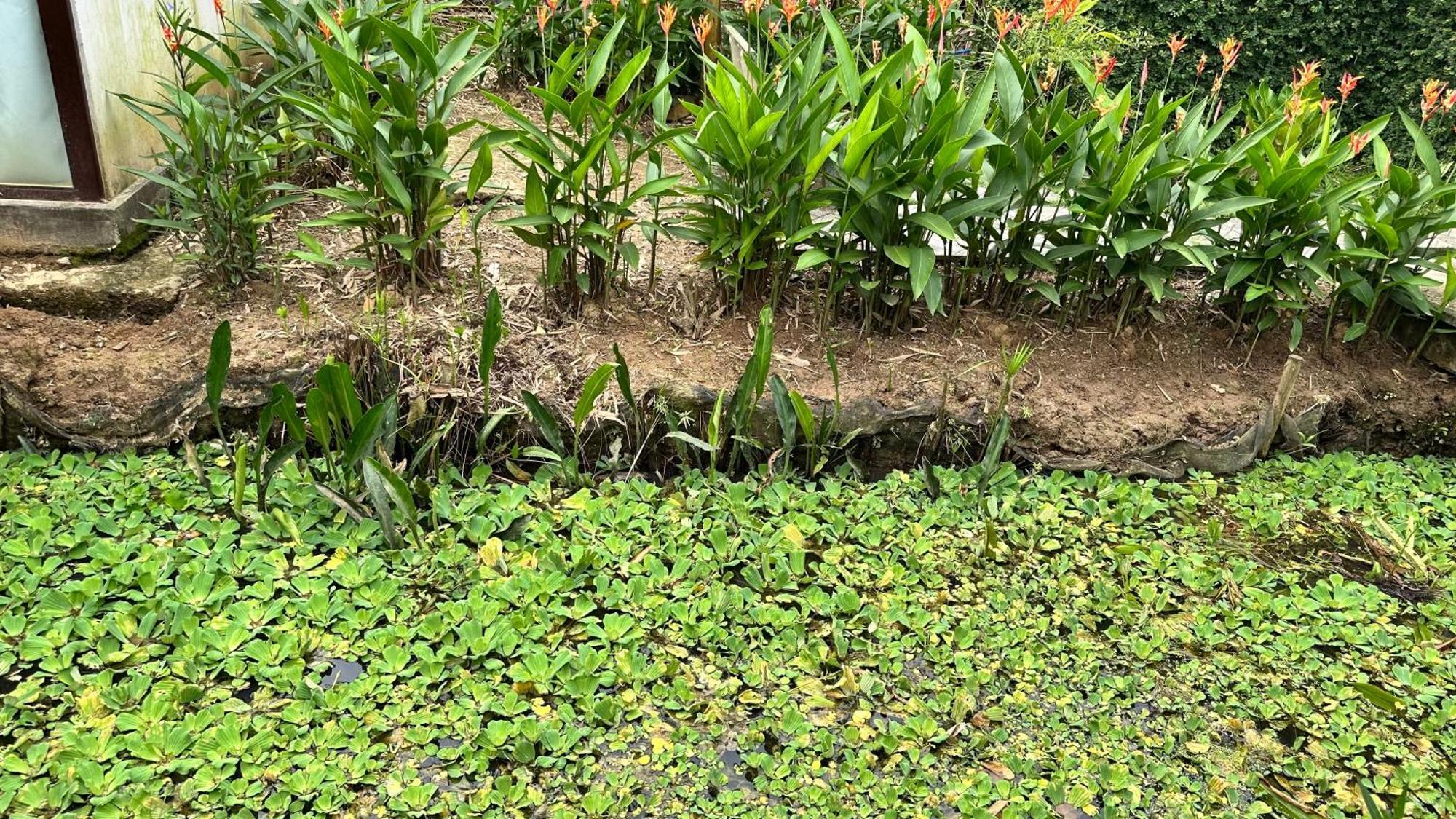 Hide Away Bungalows In Ben Tre City Kültér fotó